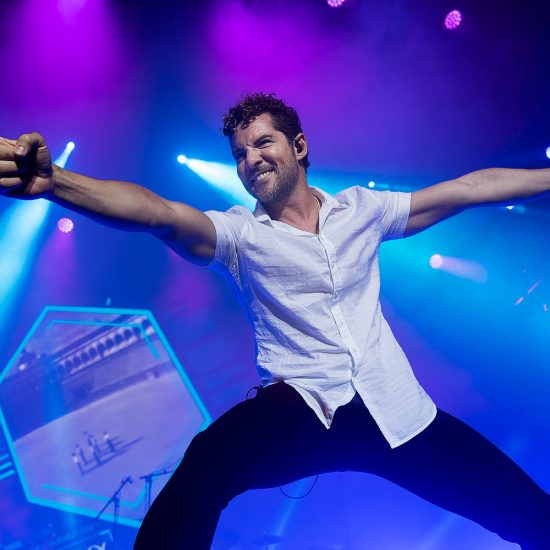 Concierto David Bisbal Mallorca 2019