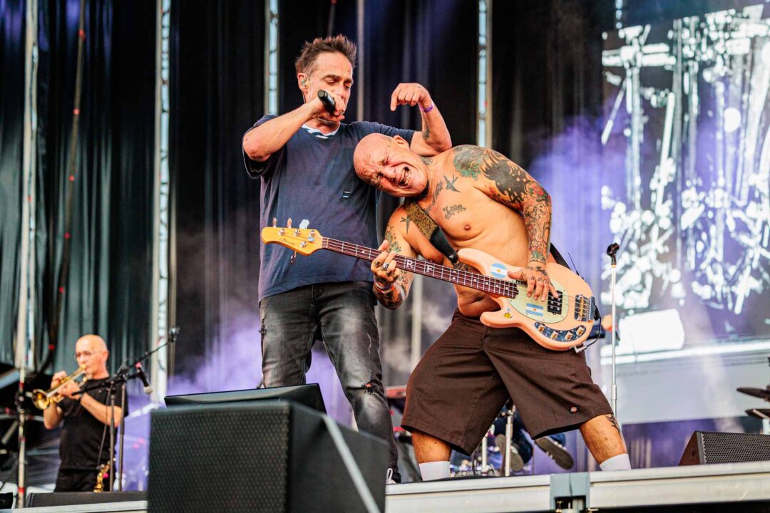 Los Fabulosos Cadillacs en el Festival Argentina Vibra (portada) Los Fabulosos Cadillacs en el Festival Argentina Vibra - Mallorca Music Magazine
