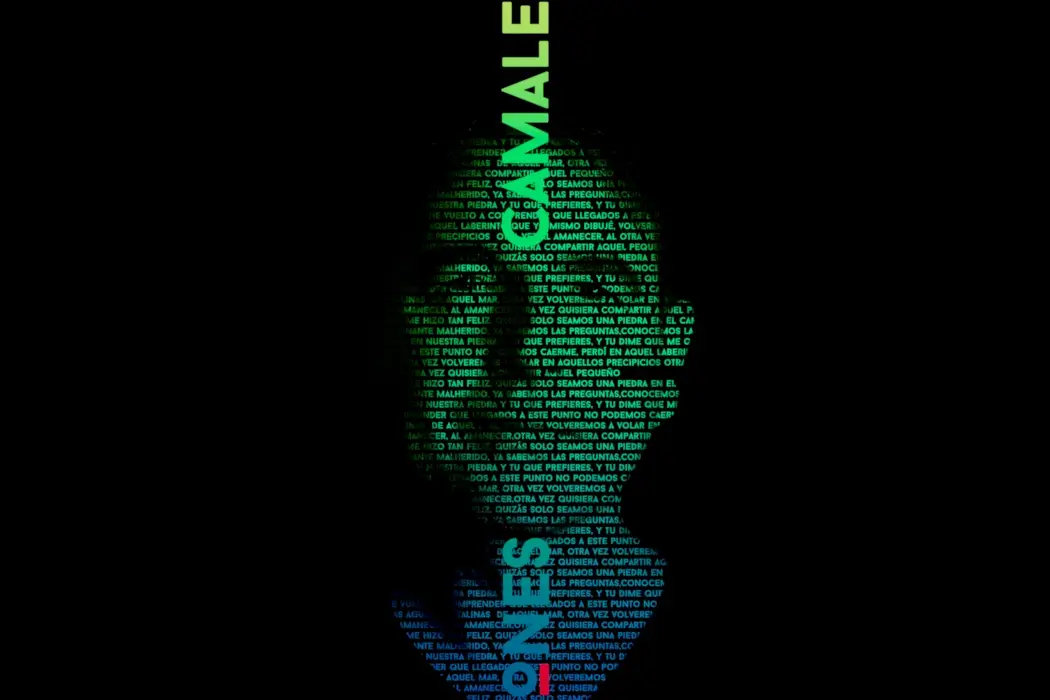 Camaleones - Mallorca Music Magazine