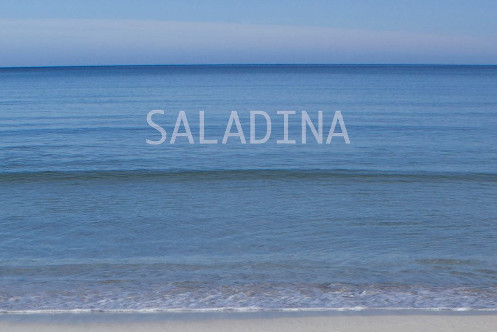 Donallop - Saladina Donallop - Mallorca Music Magazine