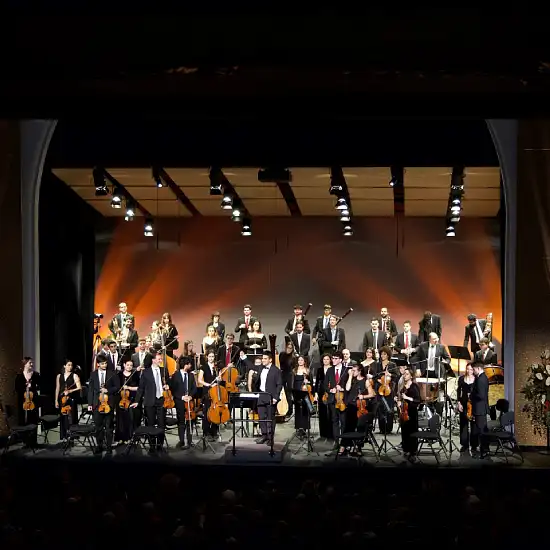 Entradas para Concierto de año nuevo de la Orquestra de Cambra de Mallorca en Inca - Mallorca Music Magazine