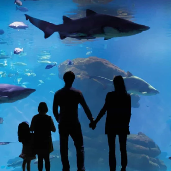 Entradas zoo aquarium Madrid