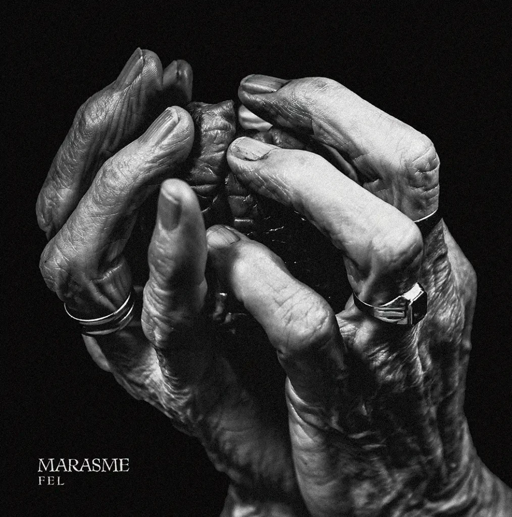 Marasme - Fel (portada) Marasme - Fel (portada) · Mallorca Music Magazine