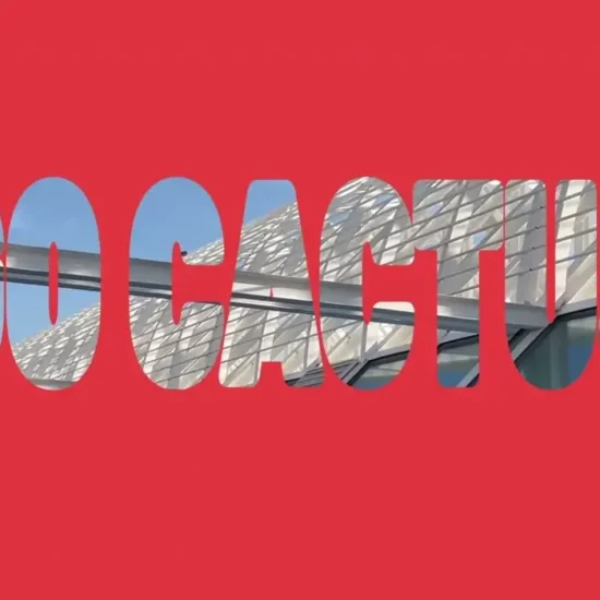 Go Cactus - Terminal 2 - Mallorca Music Magazine