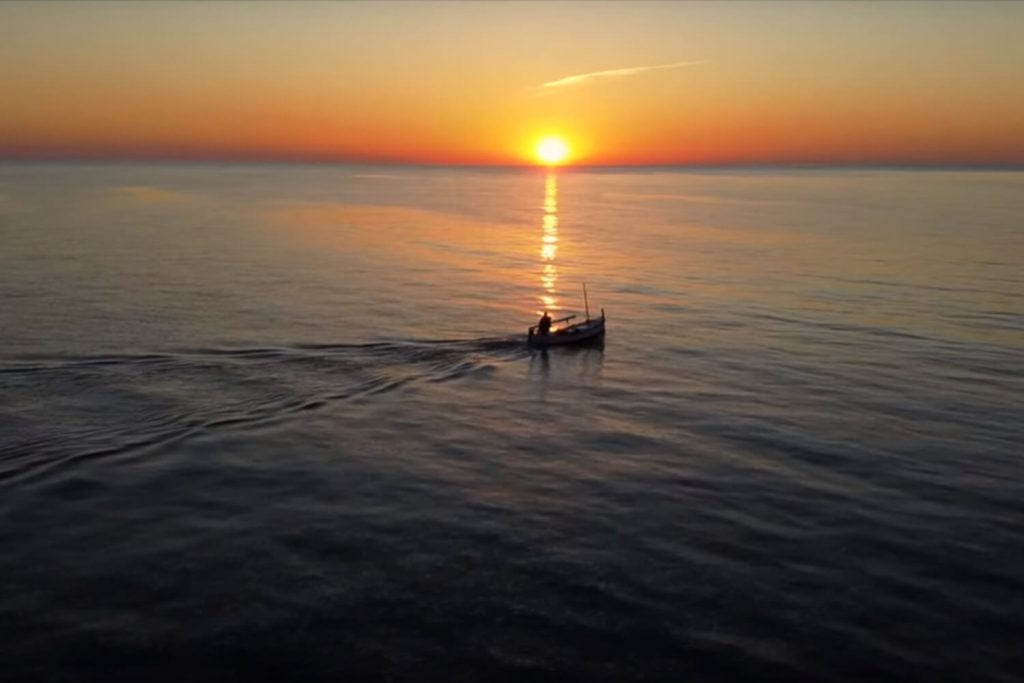 Pèl de Gall - Terra i sal - Mallorca Music Magazine