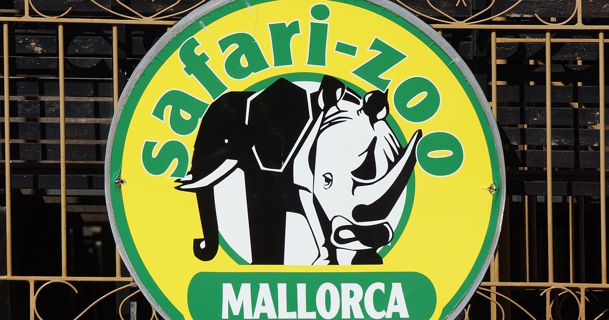 billets pour safari zoo porto cristo