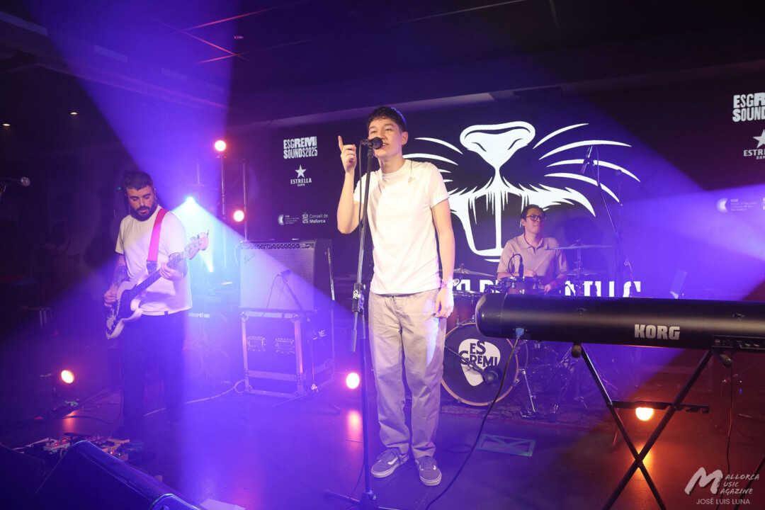 Es Gremi Sounds sábado 15 nov · Mallorca Music Magazine