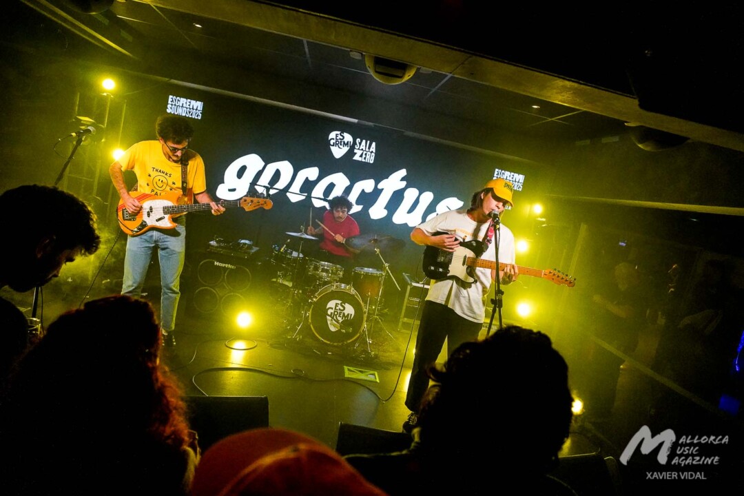 Es Gremi Sounds viernes 14 nov · Mallorca Music Magazine