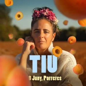 TIU Feim! Fest - Mallorca Music Magazine